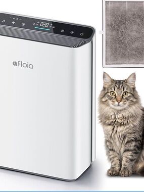 Air Purifier for home